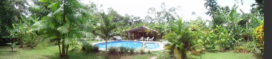 La picina en la finca  para su deleite