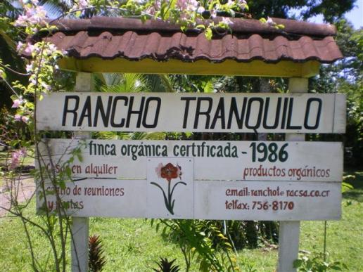 Bienvenidos